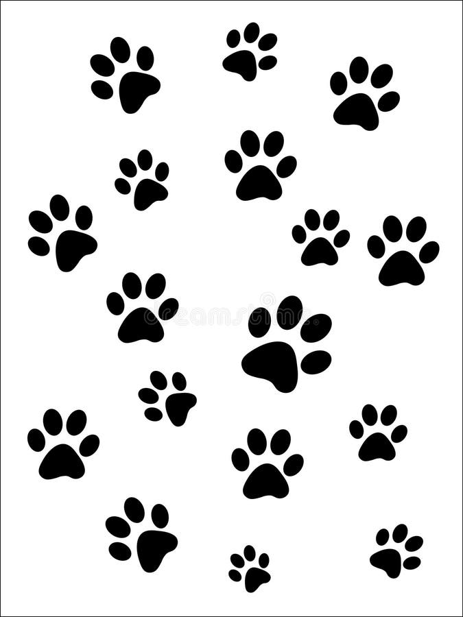 Paw prints