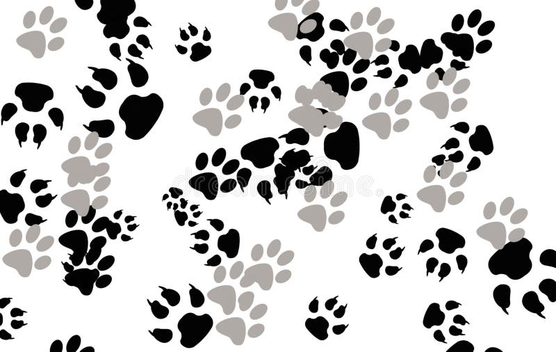 Paw prints