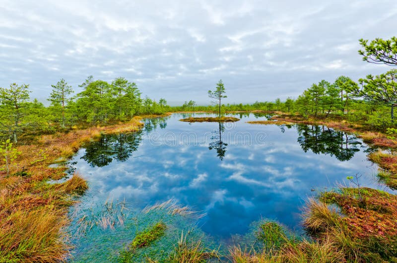 Paysage image stock Paysage image stock