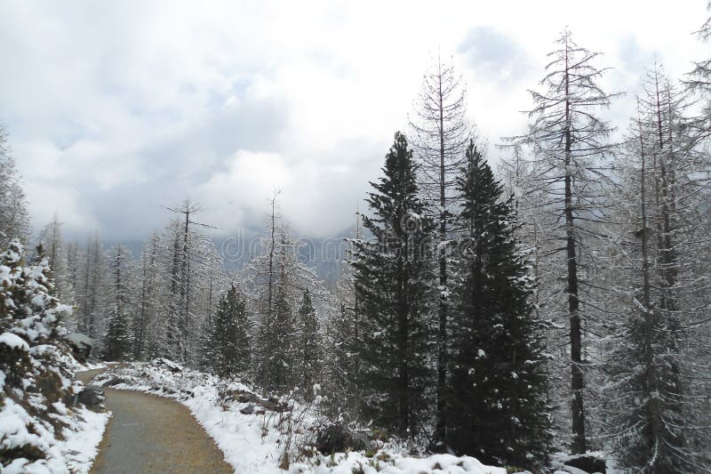 Paysage alpin avec une route en bois, jour nuageux en hiver photo libre de droits Paysage alpin avec une route en bois, jour nuageux en hiver photo libre de droits