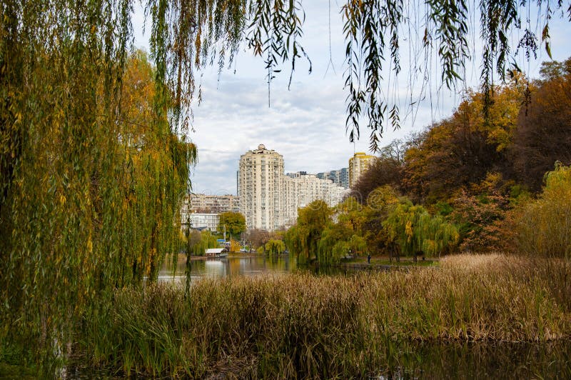 Paysage automne avec étang. paysage de chute. nature automnale dans le parc central. paysage saisonnier. arbre d'automne du parc e. parc automne arbre et étang à new york. chute panoramique. parc central en automne. feuilles tombantes.
