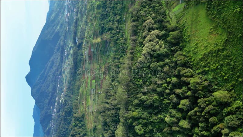 Paysage aérien de collines vertes avec des plantes et des forêts clips vidéos