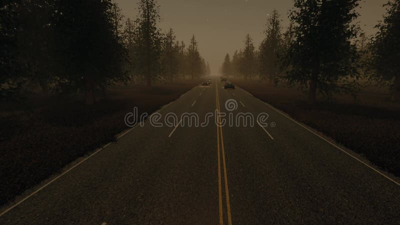 Paysage brumeux de forêt de trafic de nuit