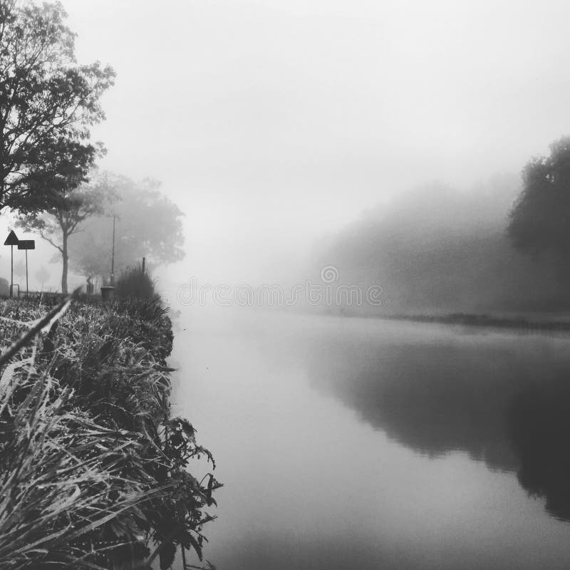 Paysage brumeux monochrome image stock Paysage brumeux monochrome image stock