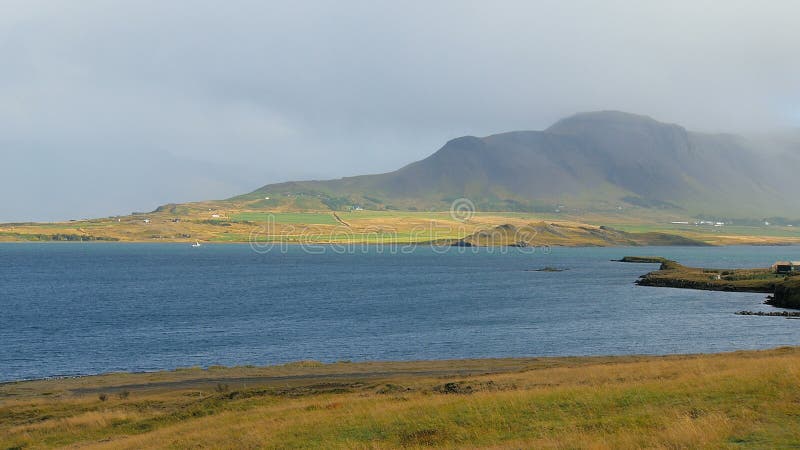 Paysage calme avec de l'eau de baleine-fjord dans le jour ensoleillé en Islande