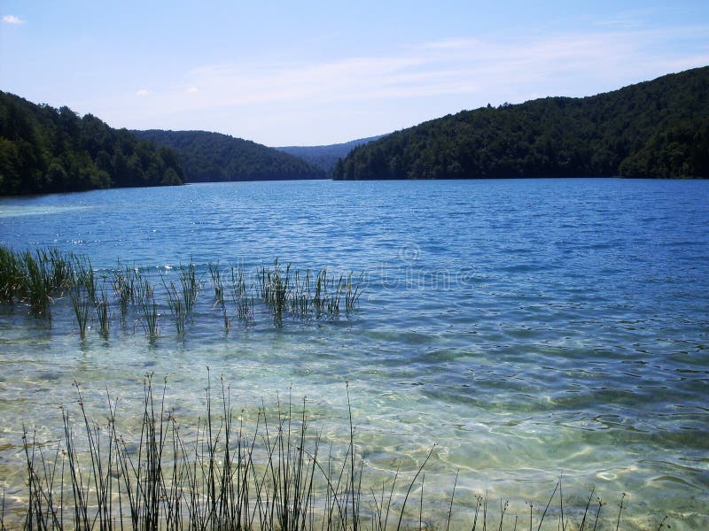 Paysage coloré et vibrant de rivage de lac Paysage tranquille utile comme fond Abaissez le canyon de lacs Nationa de lacs Plitvic photos stock Paysage coloré et vibrant de rivage de lac Paysage tranquille utile comme fond Abaissez le canyon de lacs Nationa de lacs Plitvic photos stock