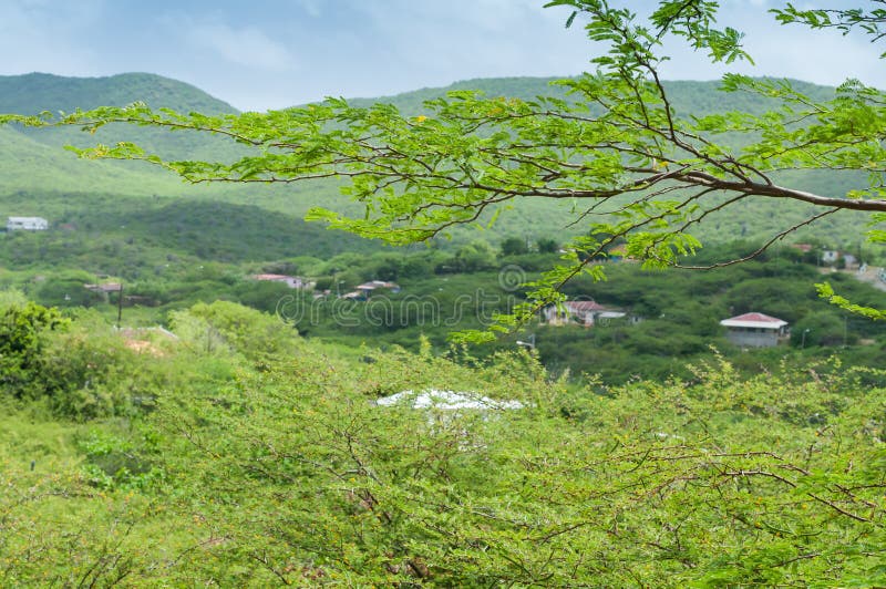 paysage de curaçao