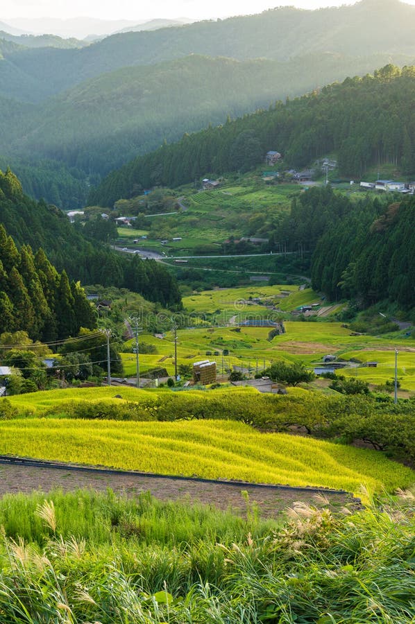 Paysage d'agriculture de préfecture d'Aichi le coffre a indiqué photographie stock Paysage d'agriculture de préfecture d'Aichi le coffre a indiqué photographie stock