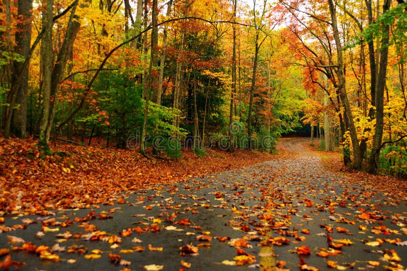 Paysage d'automne avec coloré lumineux photo stock Paysage d'automne avec coloré lumineux photo stock