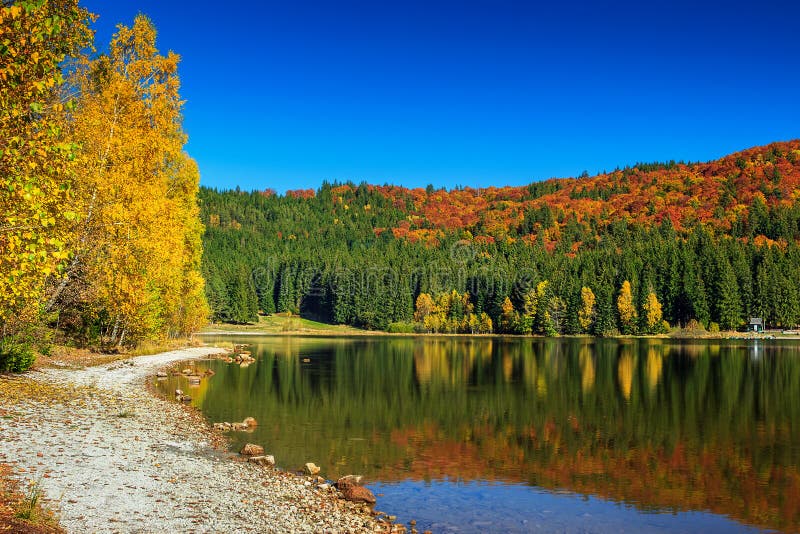 Autumn forest landscape and stunning famous volcanic lake in Transylvania,St Anna Lake,Romania,Europe. Autumn forest landscape and stunning famous volcanic lake in Transylvania,St Anna Lake,Romania,Europe