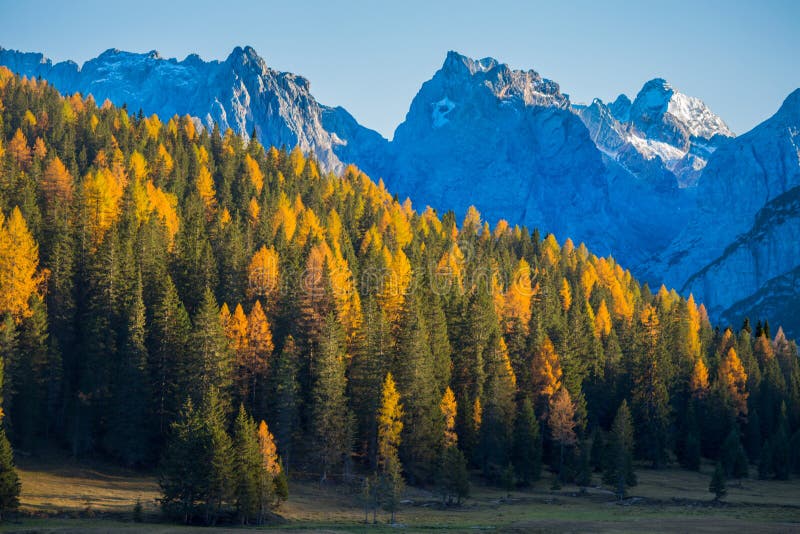 Paysage d'automne en dolomites, Italie Montagnes, sapins et mélèzes qui changent la couleur assumant la couleur jaune typique d'a photo stock Paysage d'automne en dolomites, Italie Montagnes, sapins et mélèzes qui changent la couleur assumant la couleur jaune typique d'a photo stock