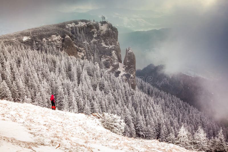 paysage d'hiver avec les sapins neigeux dans les montagnes photo libre de droits paysage d'hiver avec les sapins neigeux dans les montagnes photo libre de droits