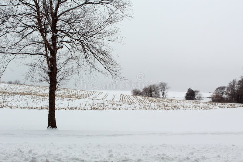 Paysage d'hiver dans le sud-ouest Iowa image libre de droits Paysage d'hiver dans le sud-ouest Iowa image libre de droits