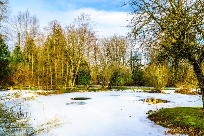 Paysage d'hiver un étang partiellement congelé en Campbell Valley Park image stock Paysage d'hiver un étang partiellement congelé en Campbell Valley Park image stock