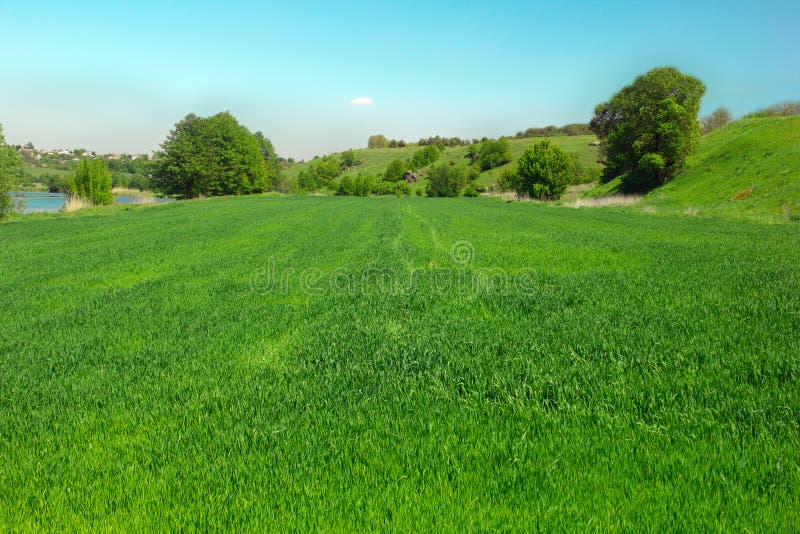 Paysage d'une vallée herbeuse verte, des arbres, des collines et d'un ciel bleu photographie stock libre de droits Paysage d'une vallée herbeuse verte, des arbres, des collines et d'un ciel bleu photographie stock libre de droits