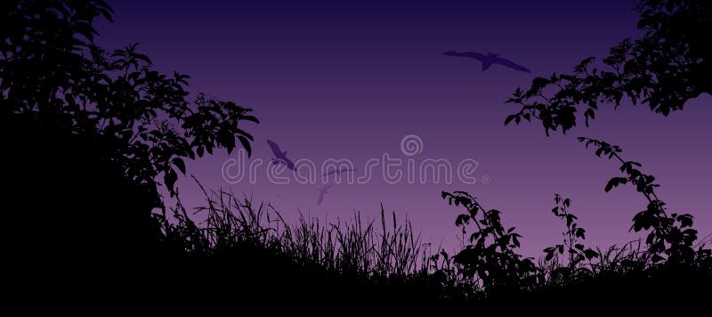 Paysage d'été avec la silhouette de l'herbe, des fleurs et des oiseaux illustration stock Paysage d'été avec la silhouette de l'herbe, des fleurs et des oiseaux illustration stock