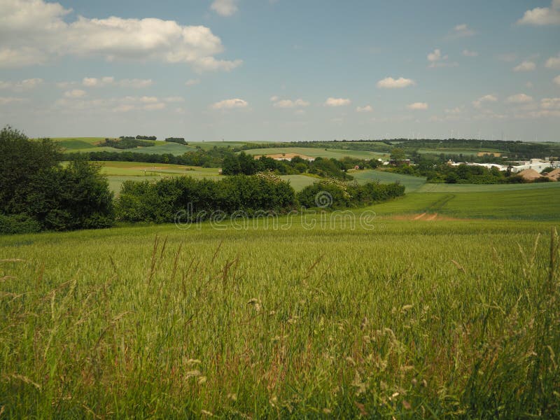 Paysage d'été avec les prés verts, le ciel bleu et les nuages blancs photos stock Paysage d'été avec les prés verts, le ciel bleu et les nuages blancs photos stock