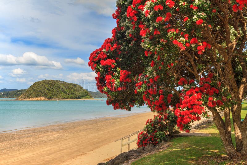 Paysage d'été, Paihia, baie des îles, Nouvelle-Zélande photographie stock Paysage d'été, Paihia, baie des îles, Nouvelle-Zélande photographie stock