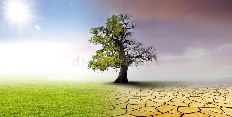 Paysage de changement climatique de chênes