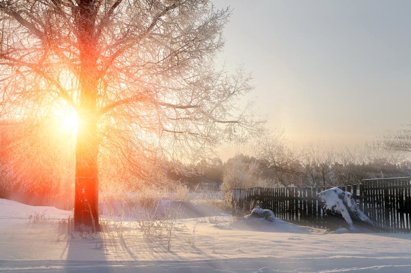 soleil en hiver