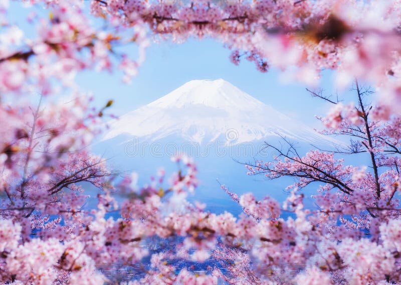  Paysage  Japon De Fuji De Montagne Photo stock Image du 