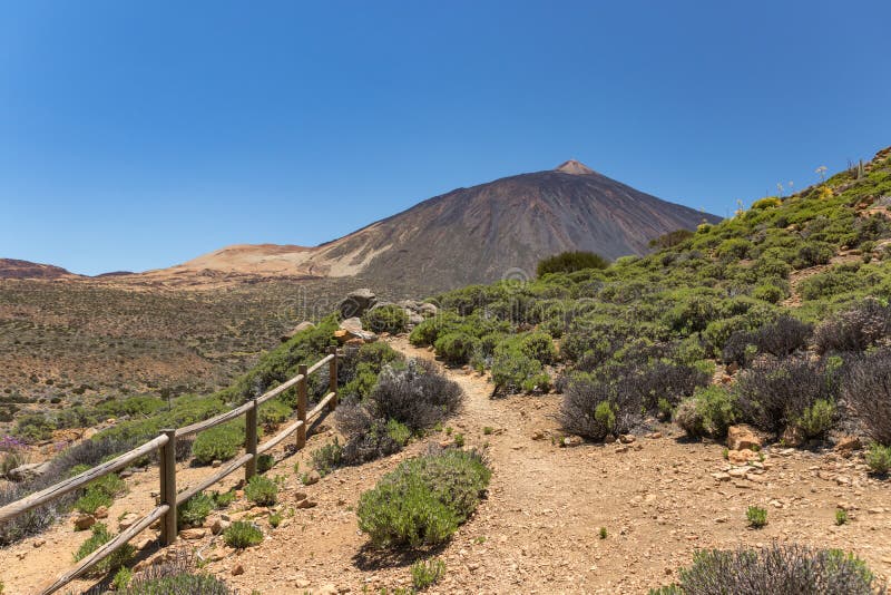 Paysage de montagnes de parc Teide à l'heure d'été Traînées de marche le long des flancs de coteau avec la végétation endémique, photographie stock Paysage de montagnes de parc Teide à l'heure d'été Traînées de marche le long des flancs de coteau avec la végétation endémique, photographie stock
