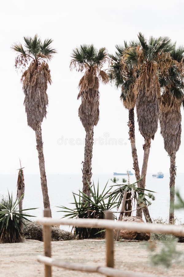 Get Espagne Paysage Plage Pictures