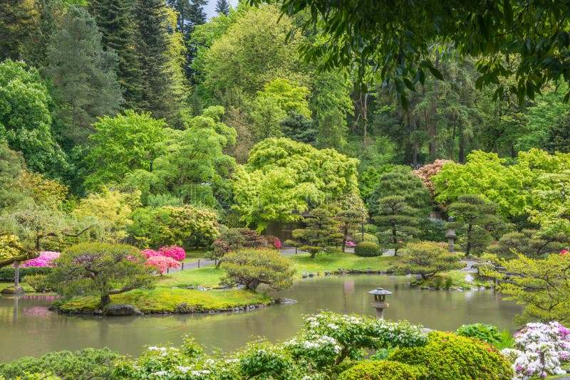 Paysage de ressort de jardin japonais avec l'étang, la lanterne en pierre, et la porte en bois à l'arrière-plan photos stock Paysage de ressort de jardin japonais avec l'étang, la lanterne en pierre, et la porte en bois à l'arrière-plan photos stock