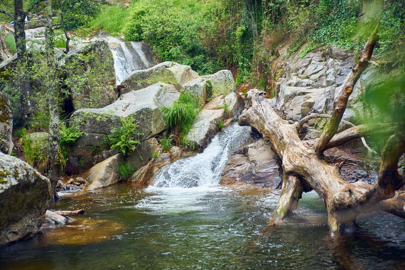 Paysage de rivière avec la cascade et un tronc d'arbre tombé à l'intérieur de l'eau images libres de droits Paysage de rivière avec la cascade et un tronc d'arbre tombé à l'intérieur de l'eau images libres de droits