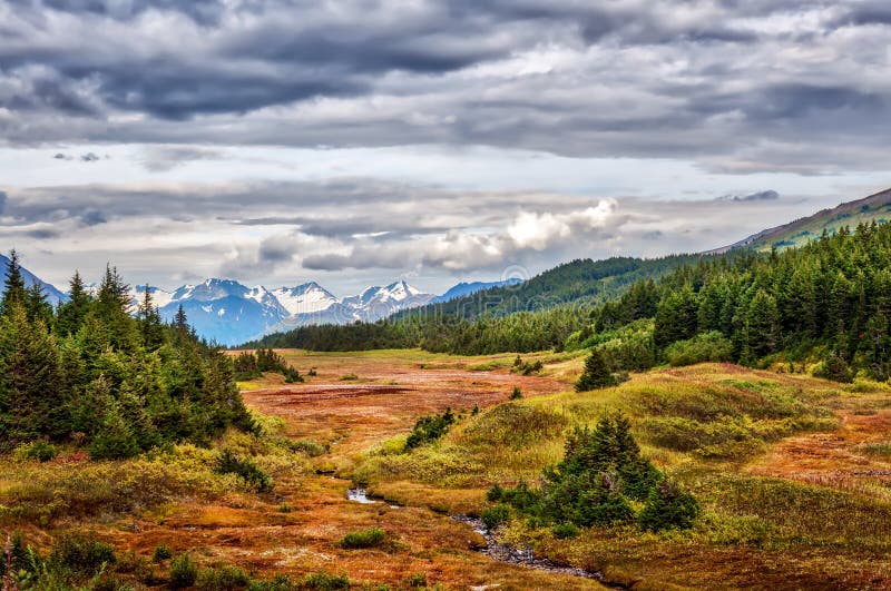Paysage de stupéfaction d'un courant de enroulement fonctionnant par le wilde photographie stock libre de droits Paysage de stupéfaction d'un courant de enroulement fonctionnant par le wilde photographie stock libre de droits
