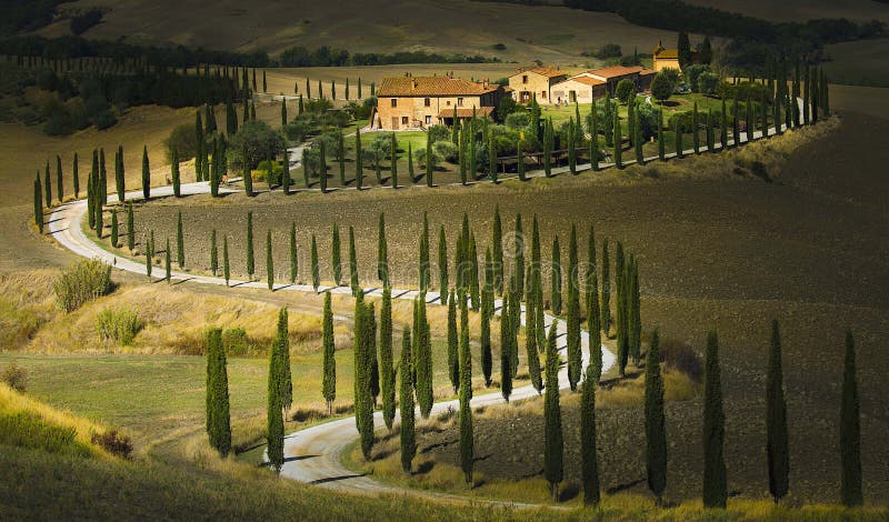 Paysage de Toscane idyllique au coucher du soleil avec route rurale courbe, Italie images libres de droits Paysage de Toscane idyllique au coucher du soleil avec route rurale courbe, Italie images libres de droits