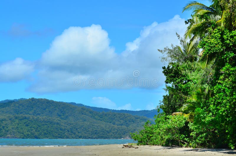 Paysage de tribulation de cap en parc national Queensla de Daintree photographie stock libre de droits Paysage de tribulation de cap en parc national Queensla de Daintree photographie stock libre de droits