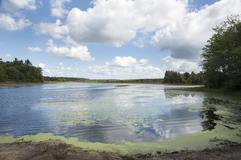 Paysage de Turner Pond image stock. Image du écume, tourneur 58336281