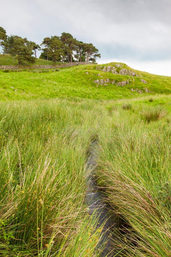 A verdant landscape with a stream near Hadrian`s Wall in Northumberland in England. A verdant landscape with a stream near Hadrian`s Wall in Northumberland in England.