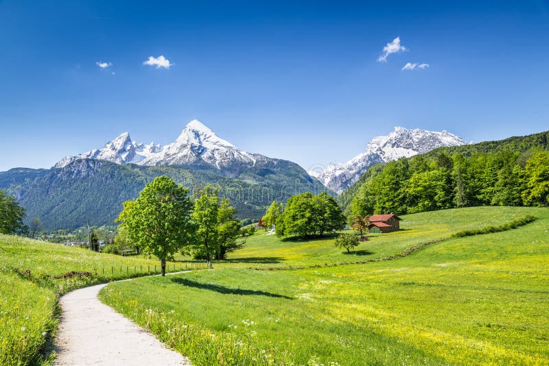 Paysage idyllique d'été dans les Alpes, Bavière, Allemagne photos stock Paysage idyllique d'été dans les Alpes, Bavière, Allemagne photos stock