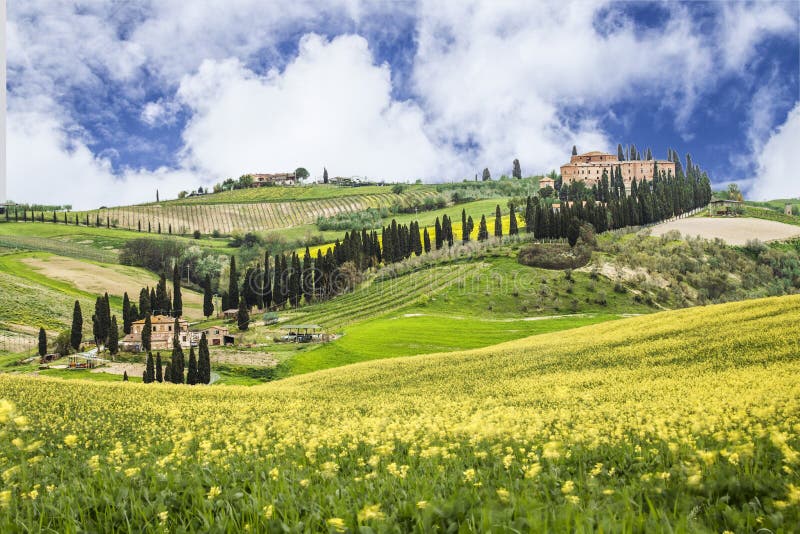 PAYSAGE IDYLLIQUE DE LA TOSCANE AVEC DES ARBRES DE CYPRESS ATTRACTION SUPÉRIEURE EN ITALIE DESTINATION CÉLÈBRE DE VOYAGE photographie stock libre de droits PAYSAGE IDYLLIQUE DE LA TOSCANE AVEC DES ARBRES DE CYPRESS ATTRACTION SUPÉRIEURE EN ITALIE DESTINATION CÉLÈBRE DE VOYAGE photographie stock libre de droits