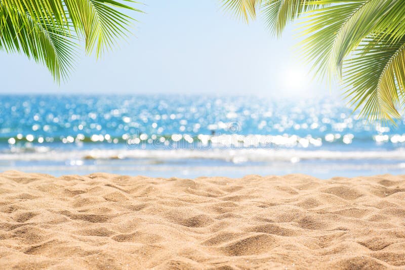 Paysage marin abstrait avec le palmier, fond tropical de plage