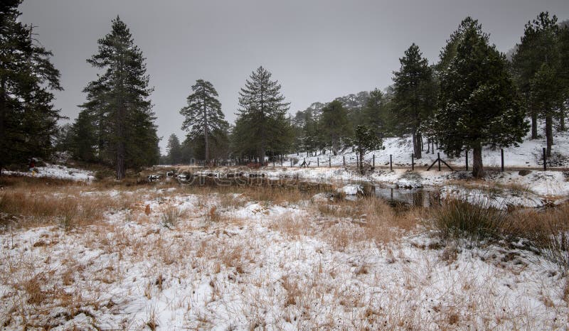Paysage neigeux d'hiver avec le lac congelé aux montagnes de Troodos, Chypre photos libres de droits Paysage neigeux d'hiver avec le lac congelé aux montagnes de Troodos, Chypre photos libres de droits
