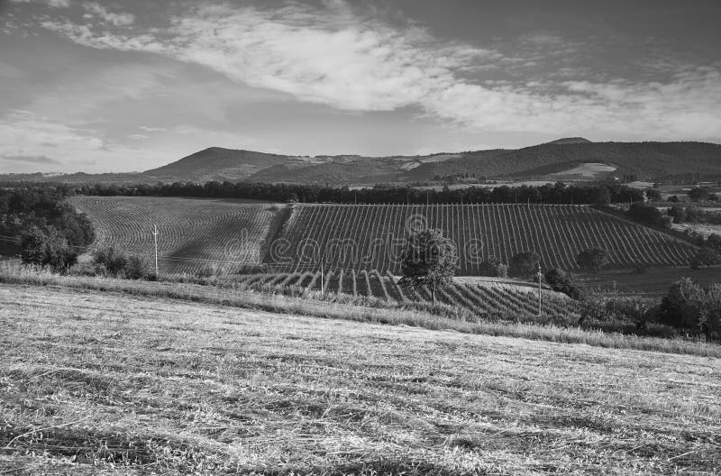 Paysage Noir Et Blanc La Toscane Italie Photos Libres De Droits Et Gratuites De Dreamstime Paysage Noir Et Blanc La Toscane Italie Photos Libres De Droits Et Gratuites De Dreamstime