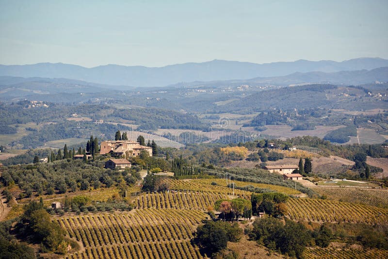 Paysage panoramique de bannière de la Toscane, Italie, l'Europe avec des vignobles et des maisons photo libre de droits Paysage panoramique de bannière de la Toscane, Italie, l'Europe avec des vignobles et des maisons photo libre de droits