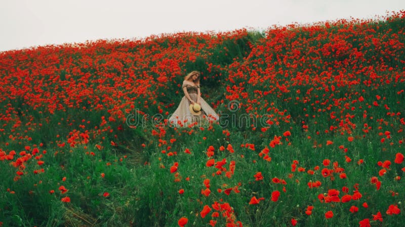 Paysage pittoresque fleurissant pavots de champ. Fleurs naturelles rouges. Belle joyeuse joyeuse joyeuse femme heureuse danse banque de vidéos