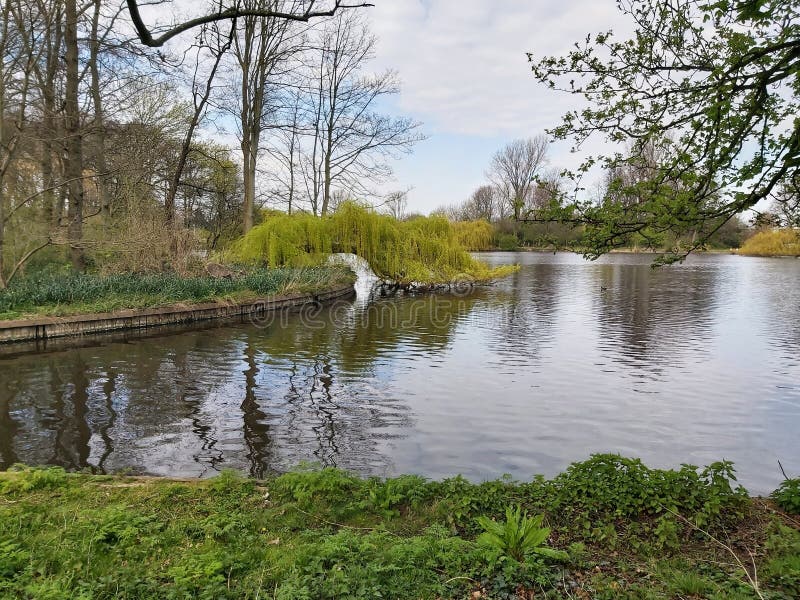 Paysage printanier dans le parc de la ville. image stock