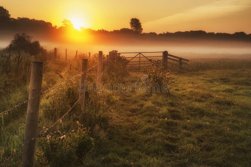 Paysage renversant de lever de soleil au-dessus de campagne anglaise brumeuse avec g