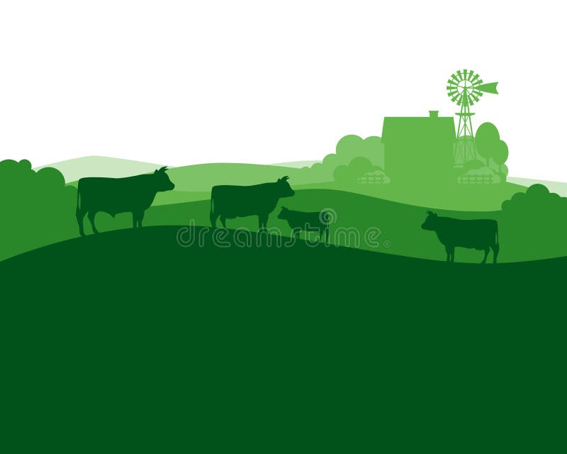 Paysage rural avec des vaches à ferme et à troupeau de lait