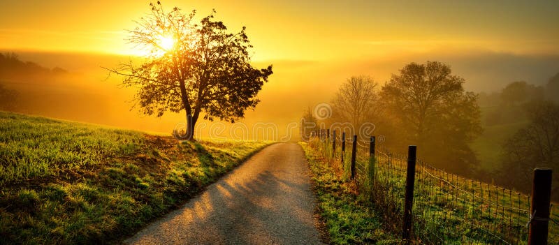 Paysage Rural Dans Une Magnifique Lumière Dorée Image stock - Image du  allemagne, nature: 230350011