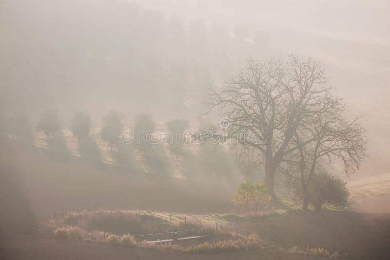 Paysage rural de campagne au matin de ressort images stock Paysage rural de campagne au matin de ressort images stock