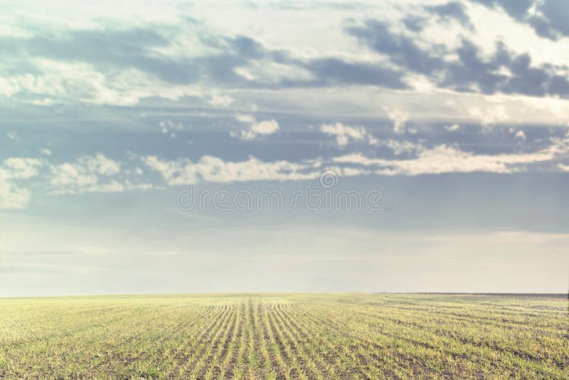 Paysage rural de champ et de ciel nuageux dans une journée de printemps photo stock Paysage rural de champ et de ciel nuageux dans une journée de printemps photo stock