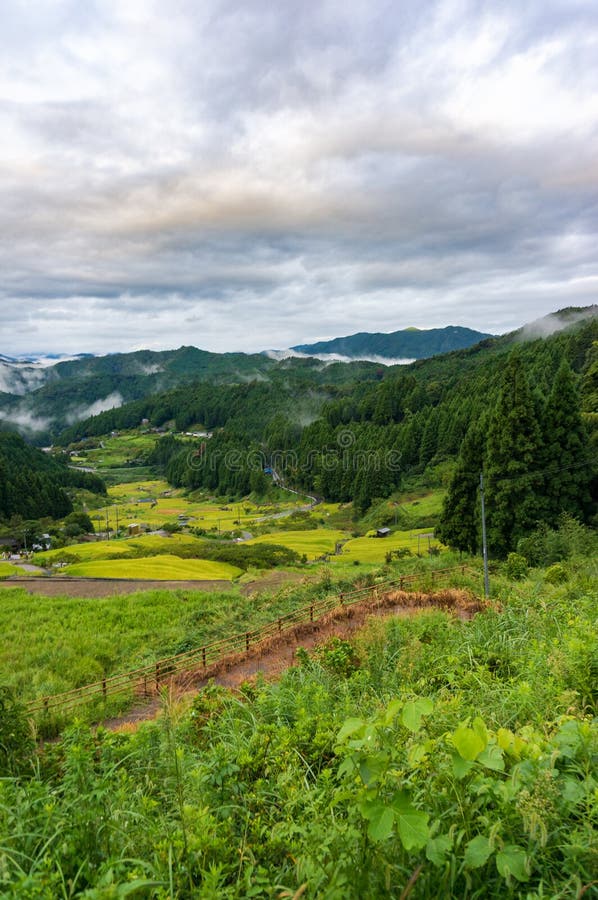 Paysage rural japonais avec des terrasses de gisement de riz image stock Paysage rural japonais avec des terrasses de gisement de riz image stock