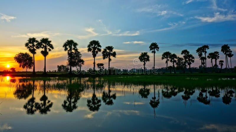 Paysage rural merveilleux de lever de soleil du Vietnam photos libres de droits Paysage rural merveilleux de lever de soleil du Vietnam photos libres de droits