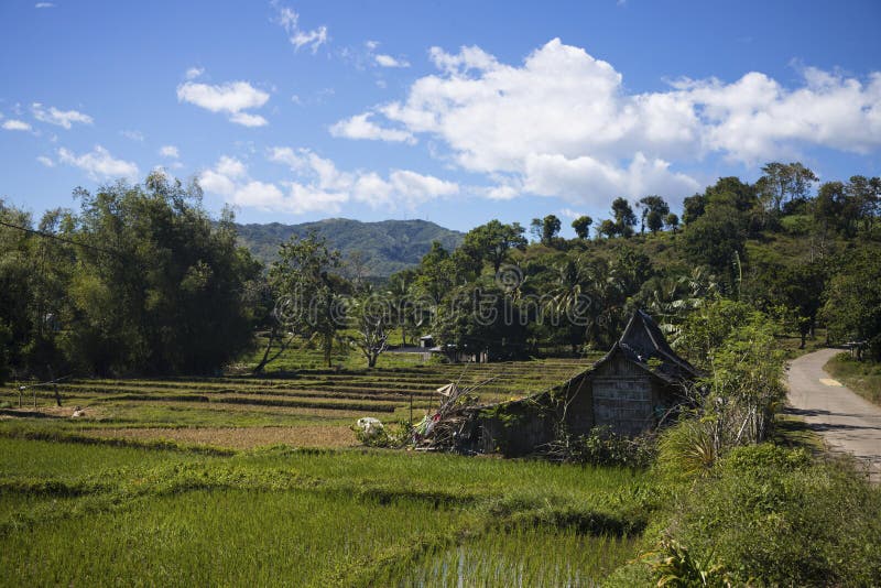 Paysage rural tropical avec la hutte rustique simple Paysage de montagne avec des gisements de riz de terrasse image stock Paysage rural tropical avec la hutte rustique simple Paysage de montagne avec des gisements de riz de terrasse image stock